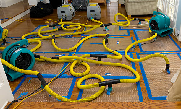 Professional Water Damage Repair technician working in Moreno Valley, CA